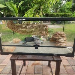 Reptile Glass Cage