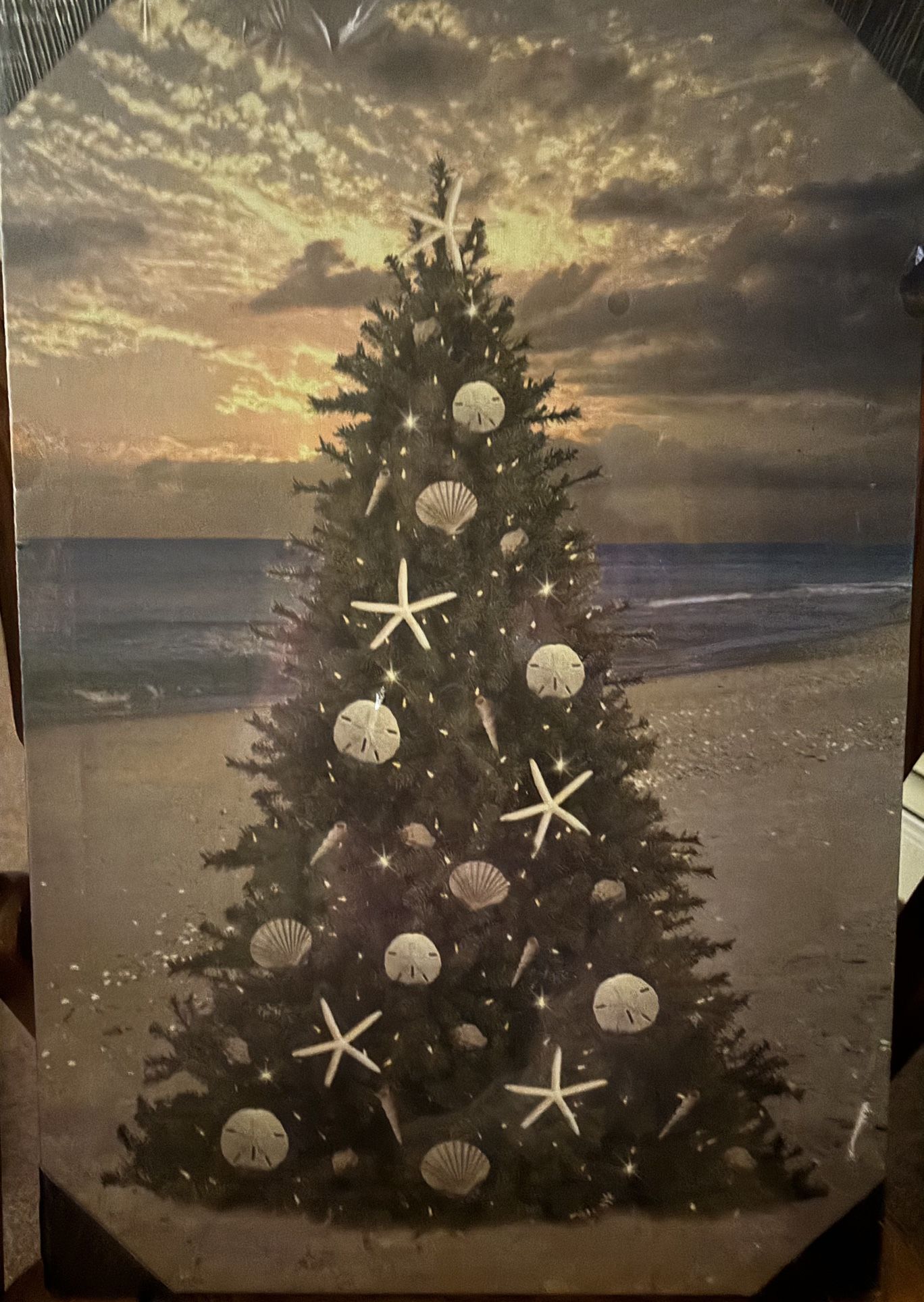 Beachcombers Coastal Life Christmas Tree on The Beach with Sand Dollars and Star
