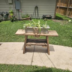 Pine Bench/Stand