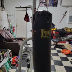 Everlasting Heavy Bag With Speedbag. Century Stand