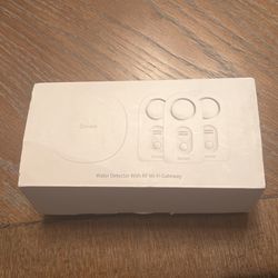Water Detector W RF WI FI GAteway 