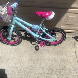 Princess New Bike 