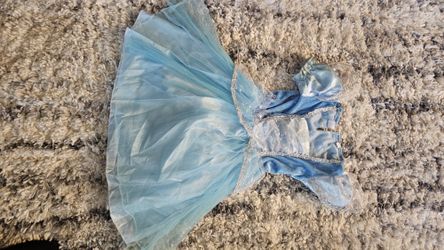 Cinderella Dress Up Dress