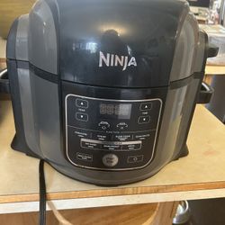  Ninja Air Fryer