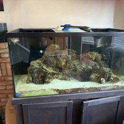 Fish Tanks For Sale