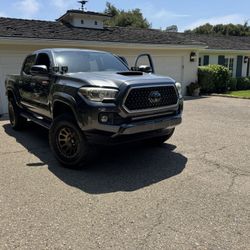 Tacoma 