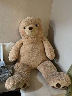 Oso peluche