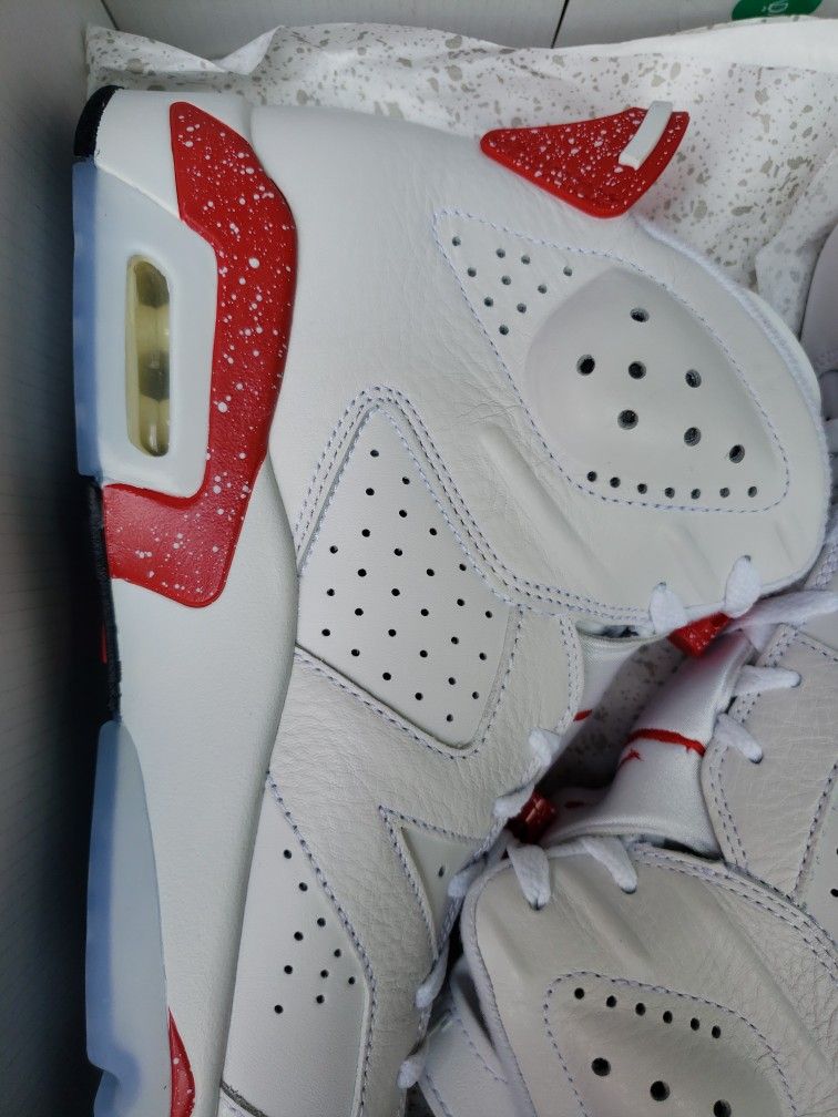 BRAND NEW AIR JORDAN 6 RETRO