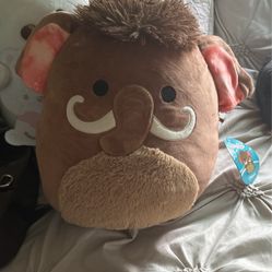 Squishmallow- Chienda