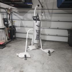 EVERLAST Punching Bag + Gloves