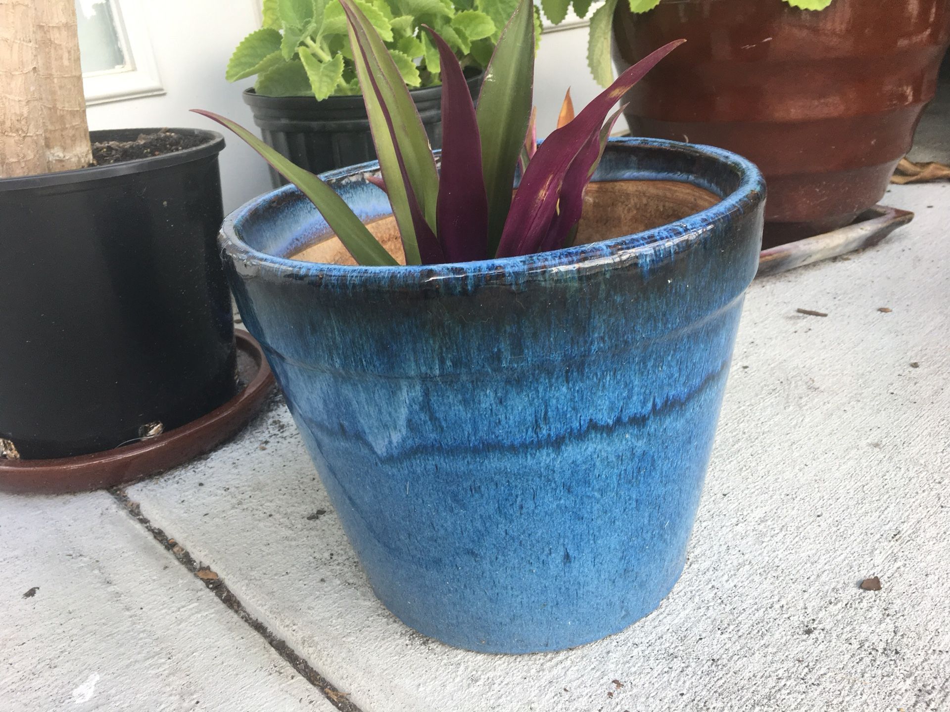Beautiful blue glazed pot. Plant not included. Like-new with NO cracks. You pickup in Buckhead. Large 12” diameter, 10” tall. $79 in-store.