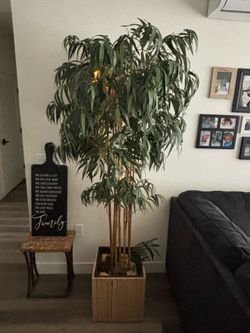 Indoor tree