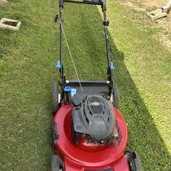 Working Self-Propelled Lawnmower 