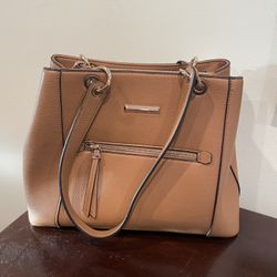 Aldo Purse ( New With Tag)