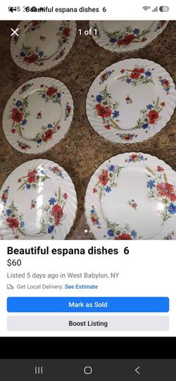 Beautiful esplanade plates 6