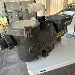 Jandy Variable Speed Pool Pump