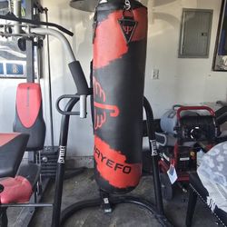 Everest Punching Bag 