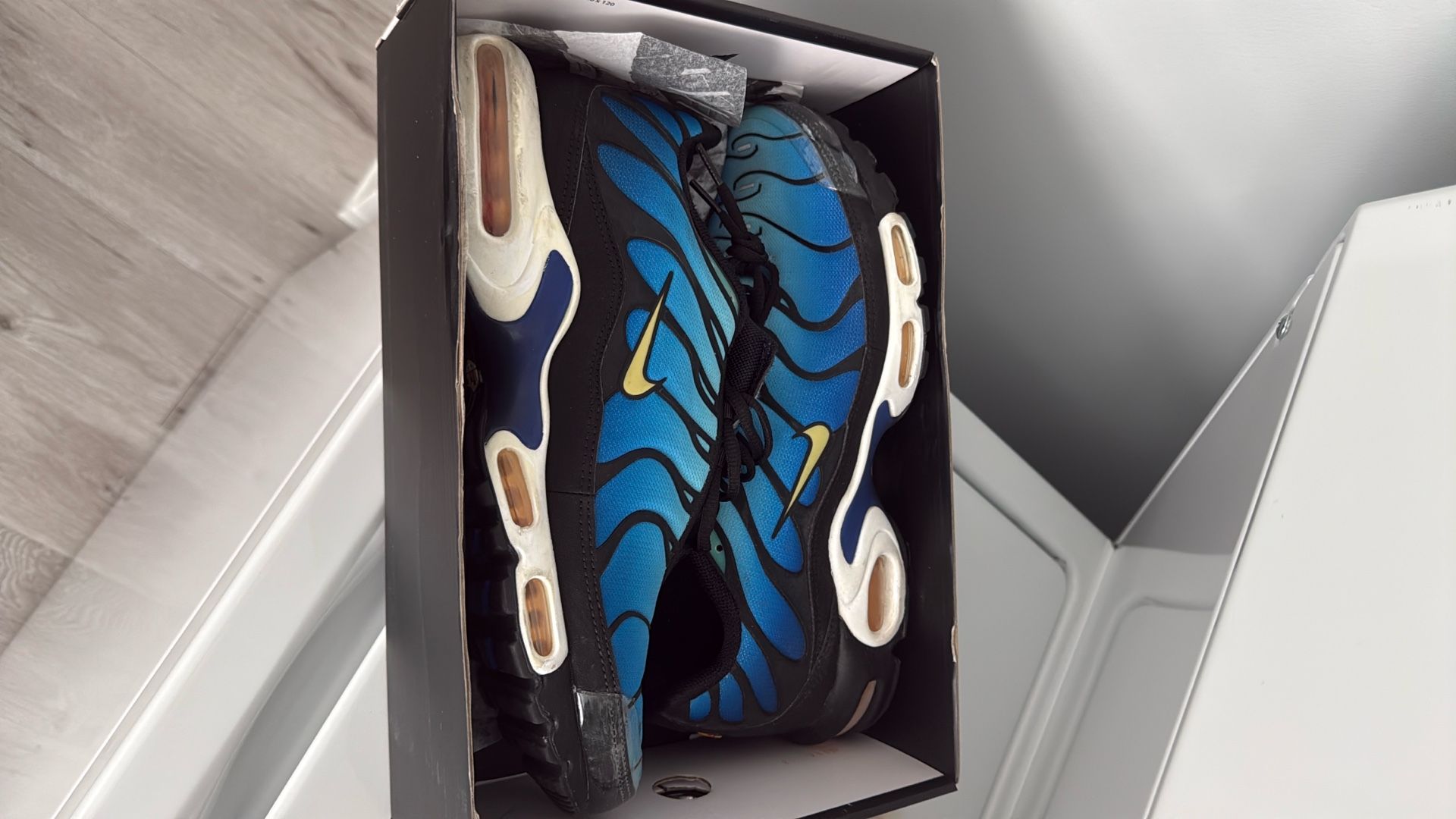 Nike Air Max Plus (Men’s size 13, Women’s size 14.5)