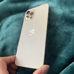 iPhone 12 Pro Not Max 