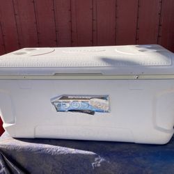 Coleman & Igloo Coolers 