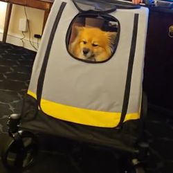 Dog Stroller 🐕 Med Size By Bingo Paw