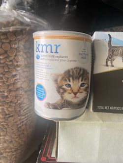 Kitten milk