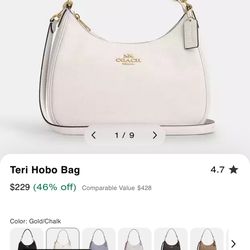 Teri Hobo Coach Bag