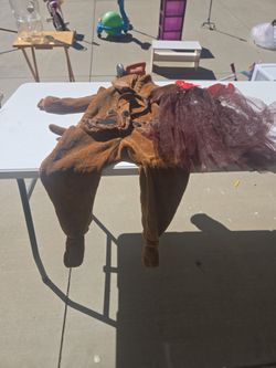 Max costume