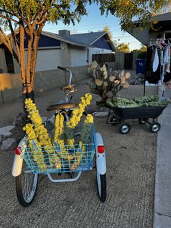 PLANTS FOR SALE