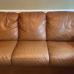 Leather Couch And Sofa 