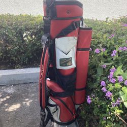 Belding Sports Bushwhacked 2 Golf Bag