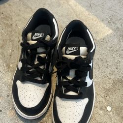 Nike Dunks Size 3 Youth
