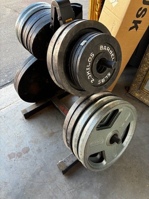 Variety Of Olympic Free Weight Plates 