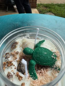 Ocean Serenity Turtle Candle