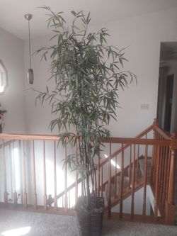 Bamboo Artificial Plants