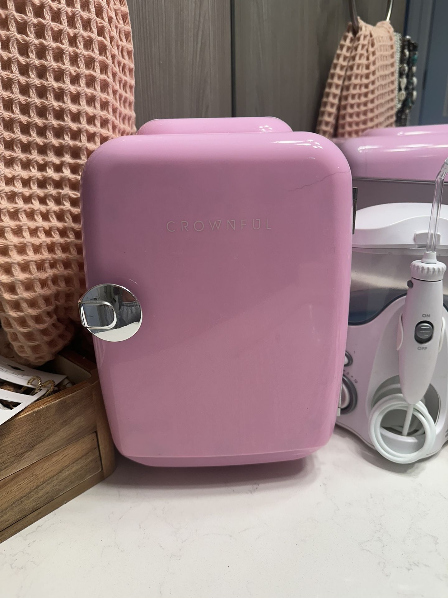 Mini Fridge