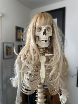 Beautiful Adjustable Wigs