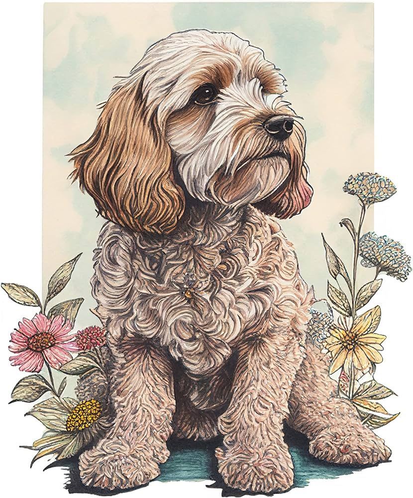 Cockapoo