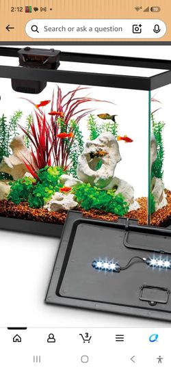 Fishtank