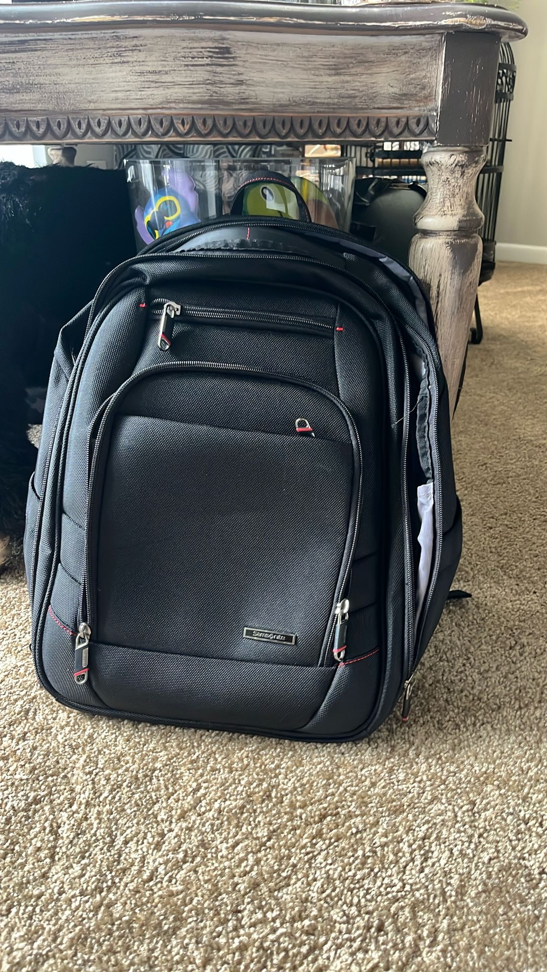 Samsonite 18” Laptop Backpack