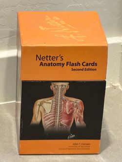 Anatomy
