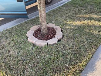 Lawn Make Over