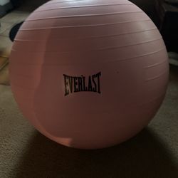 Everlast Excerise Ball 
