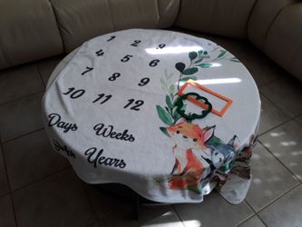 Baby Milestone Blanket, Used