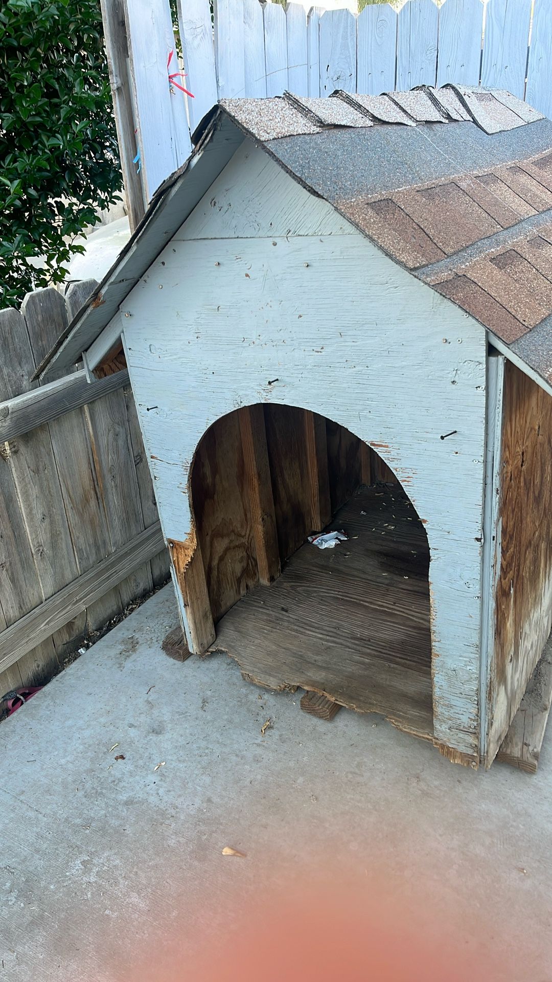 Dog House