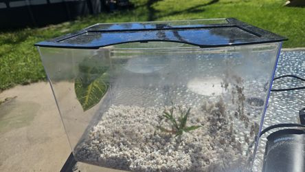 5 Gallon Fish Tank With Accessories