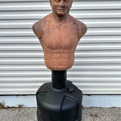 Bob Training UfC Boxing and More