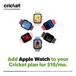 APPLE WATCH