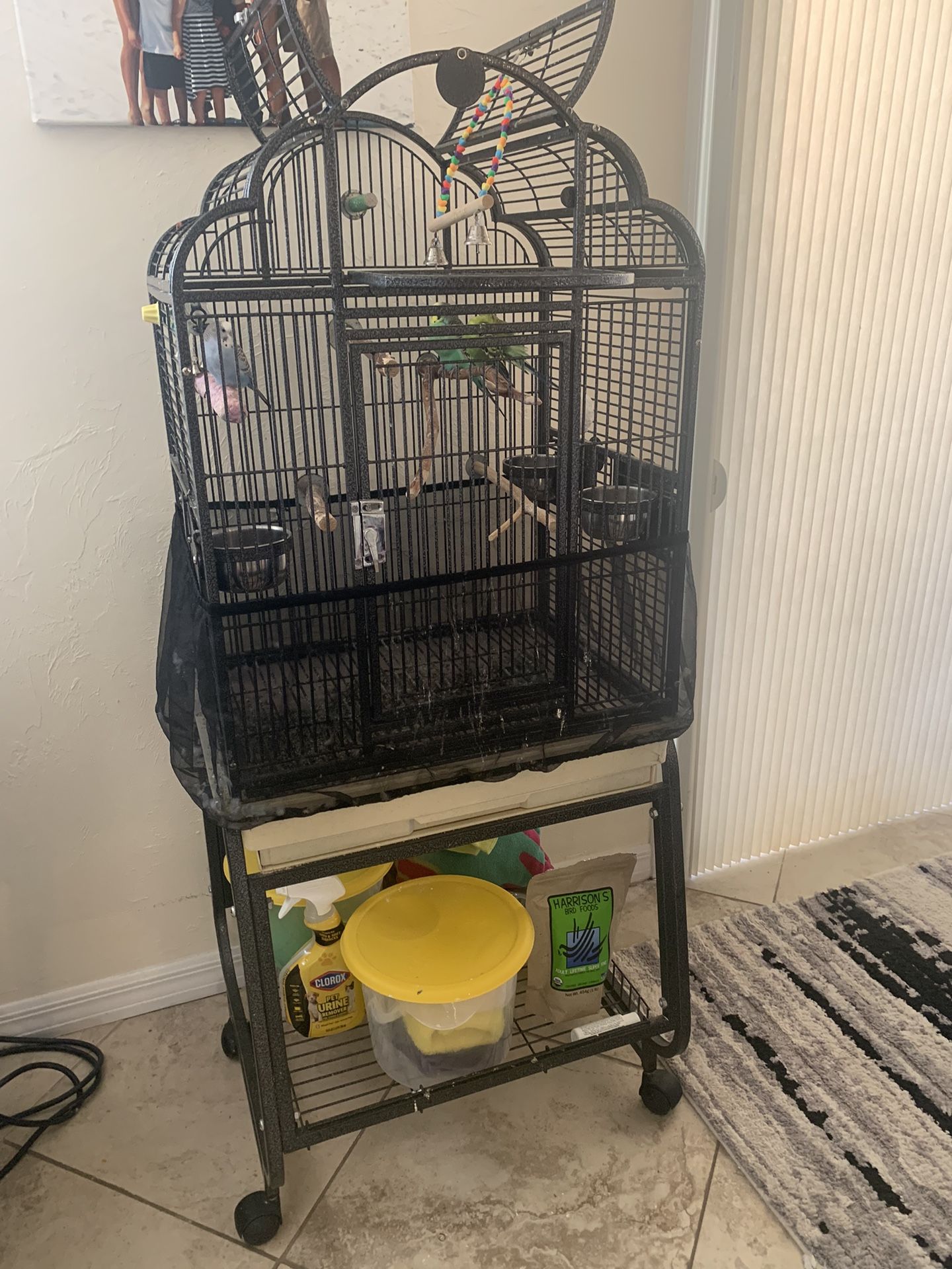 Large bird Cage with Extras
