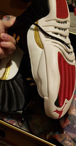 Brand new Chinese new year jordan retro 12 Size 9.5